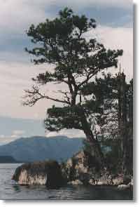 Lake Pend Oreille view